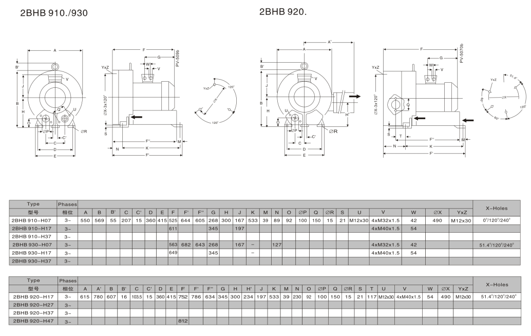 氣環(huán)式真空泵尺寸圖2BHB910.png
